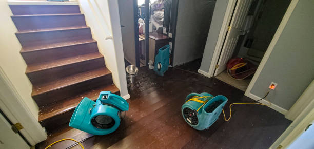 Best Water damage restoration mold remediation  in Honolulu, HI