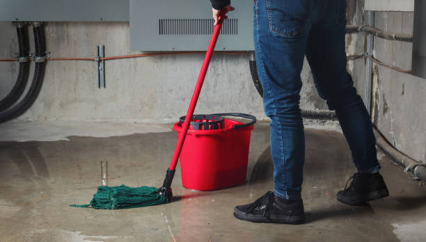  Honolulu, HI Water damage restoration Pros