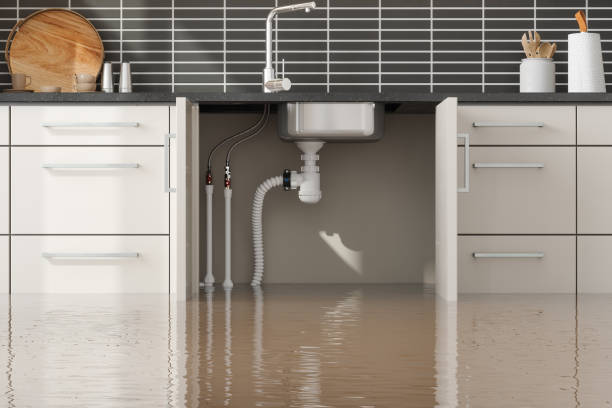 Best Flood damage cleanup  in Honolulu, HI