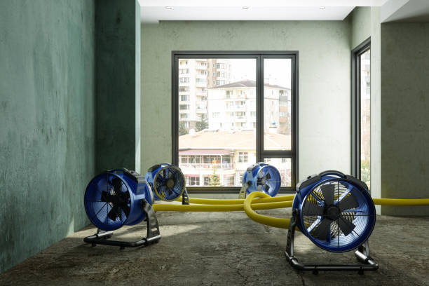 Best Flooded house restoration  in Honolulu, HI