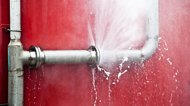 Water damage restoration mold remediation in HI